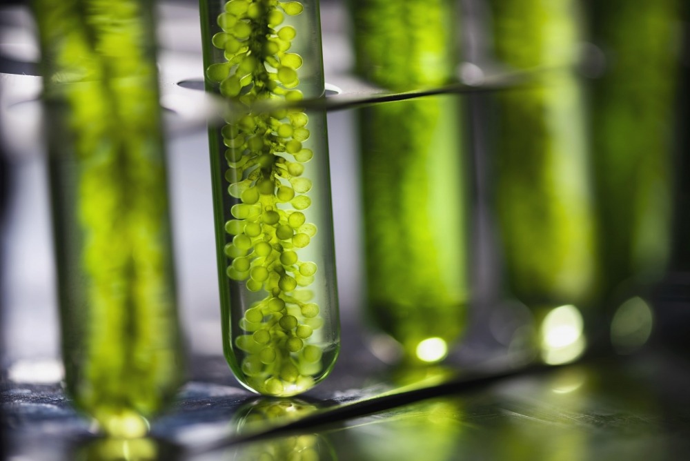 ETQ QMS energy biofuel green vials