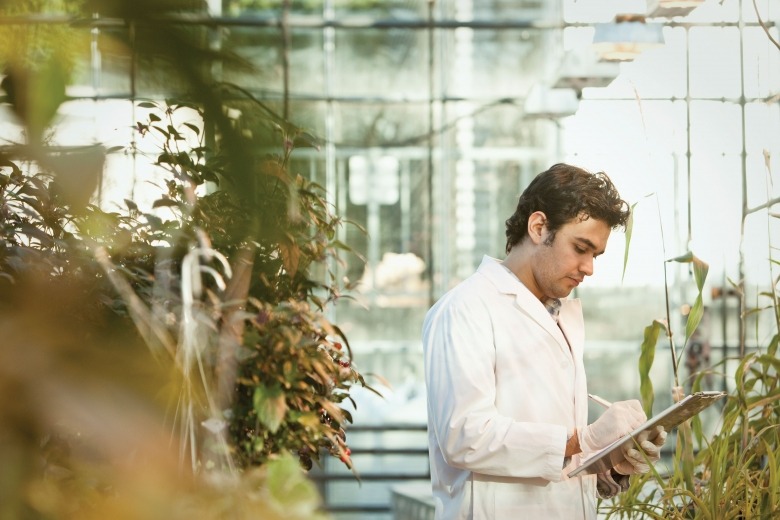 man inspecting quality in commercial greenhouse