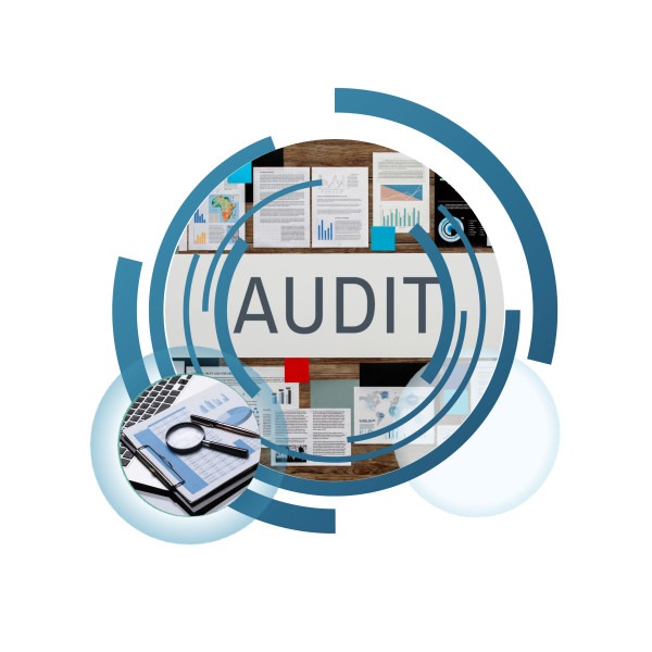 Audit-Management-Glossary